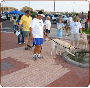 Engraved Bricks for Humane Society