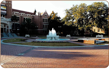 Gift Bricks® Engraved Bricks Photo