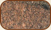 Granite Canadian Mist Color