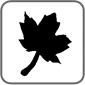 Gift Bricks® Maple Symbol